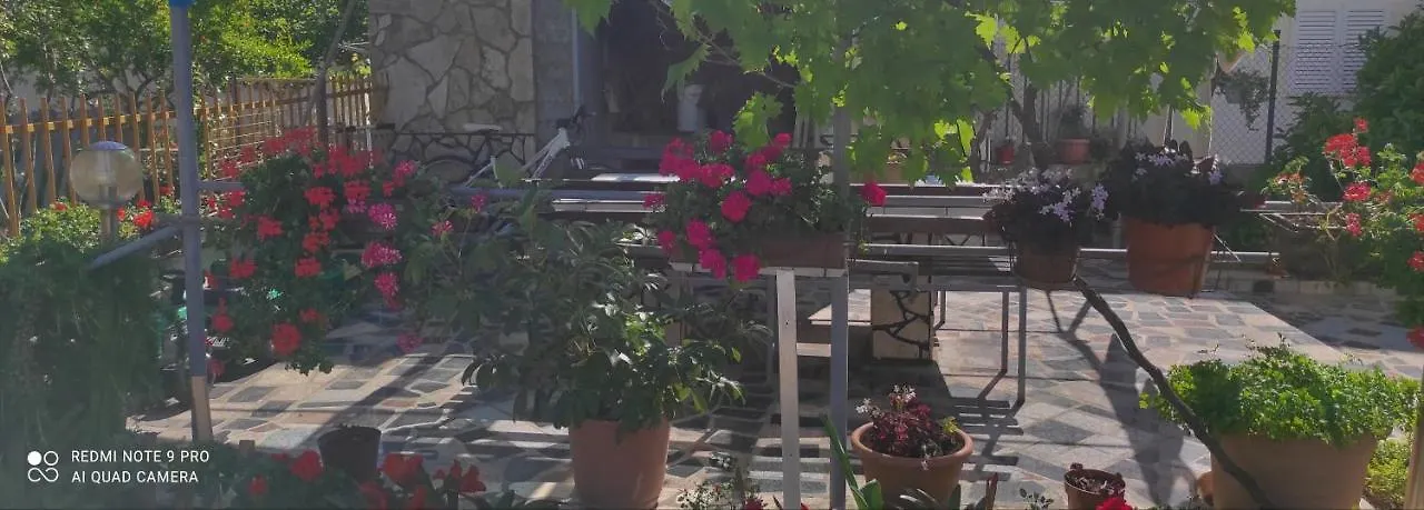 Orhideja Lejlighed Zadar Kroatien