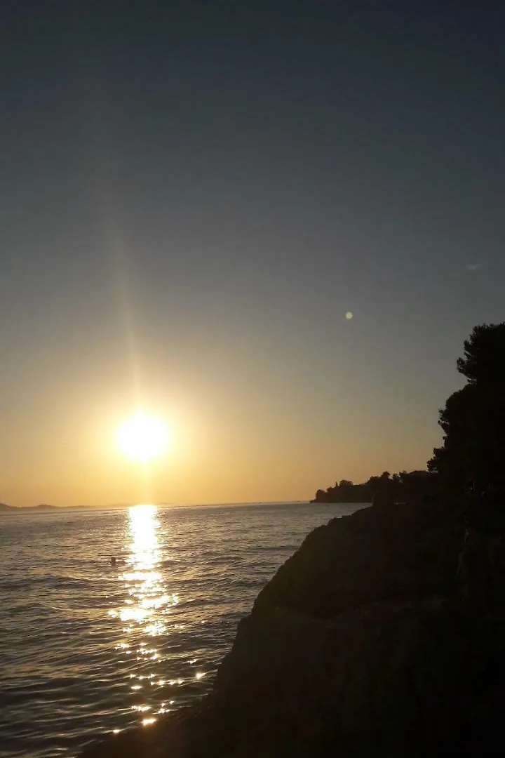 Orhideja Lejlighed Zadar