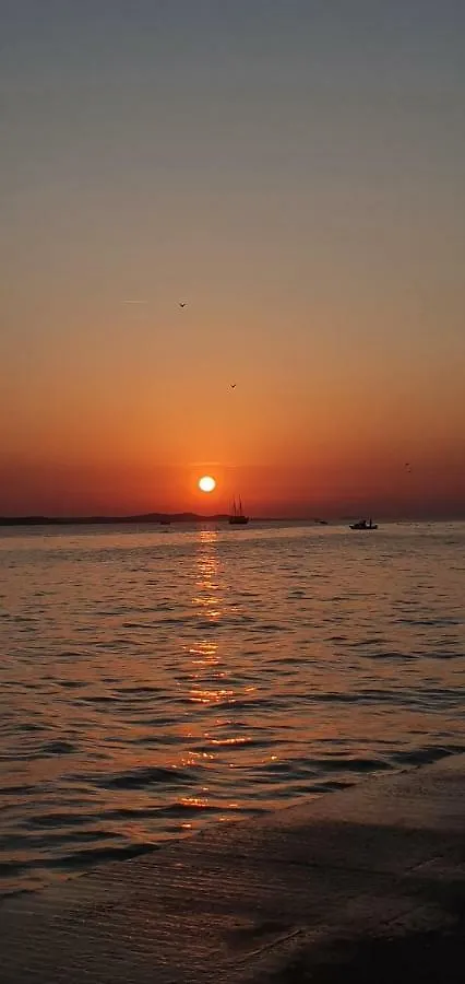 Orhideja Lejlighed Zadar
